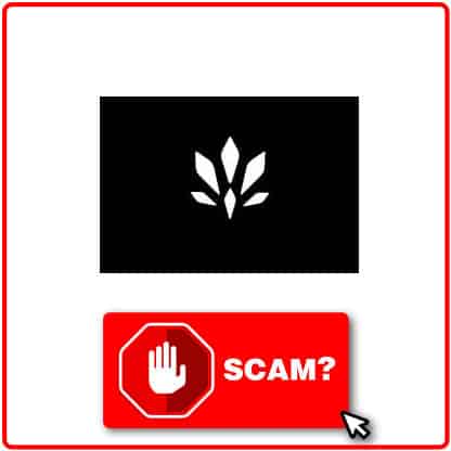 ¿Kannabys City es scam?