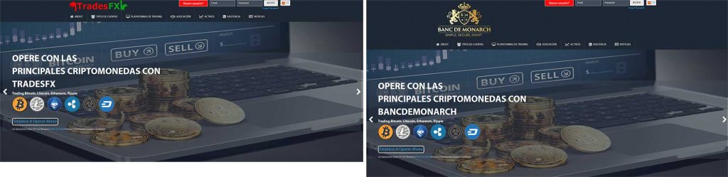 Parecidos entre TradesFX y Banc de Monarch