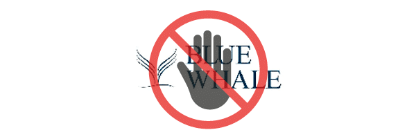 Valoración de Blue Whale Investment