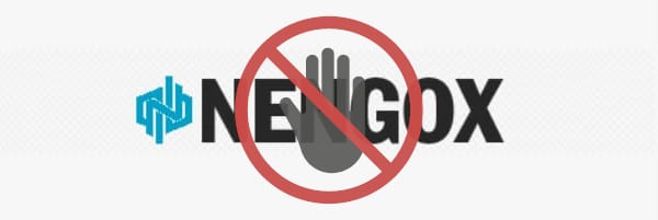 Valoración de Nengox.com