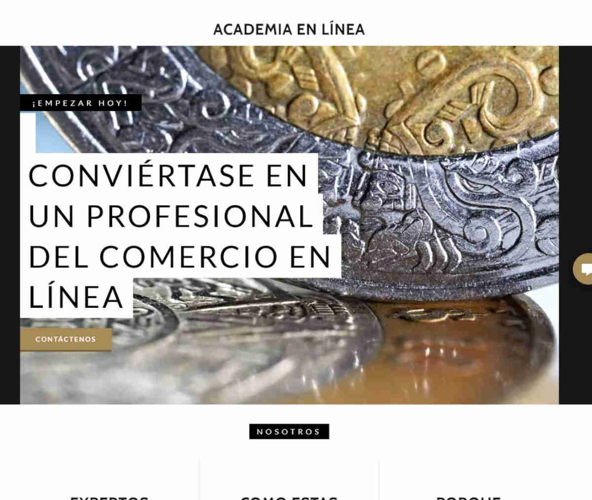 Página web de Academia en Línea