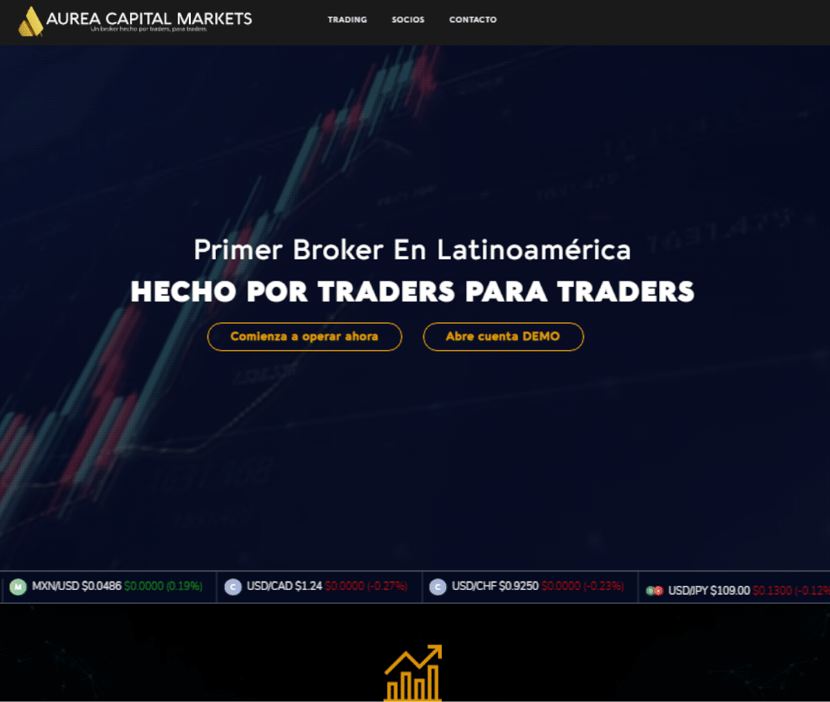 Página web de Aurea Capital Markets