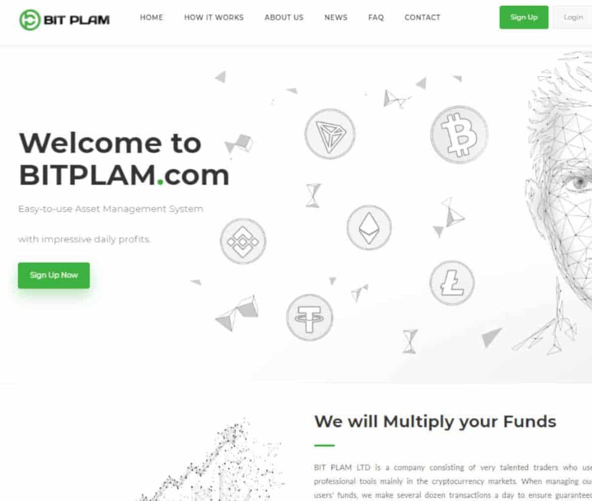 Página web de BitPlam.com