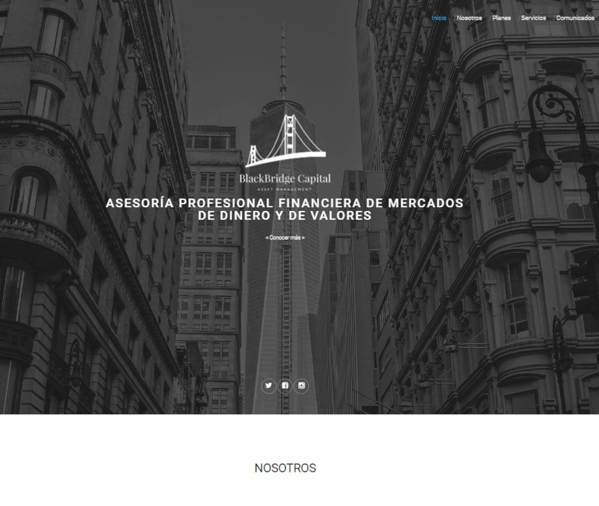 Página web de Black Bridge Capital