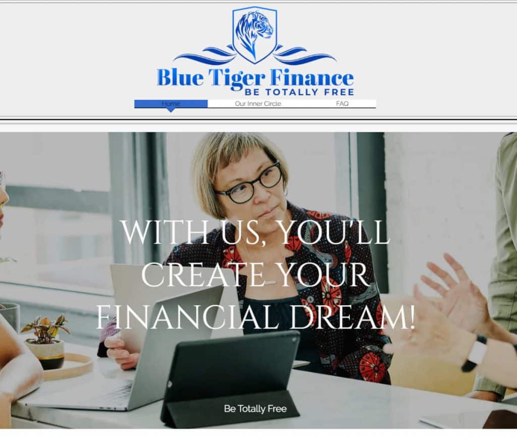 Sitio web de Blue Tiger Finance