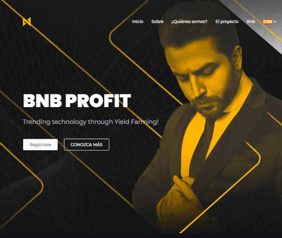 Página web de BNB PROFIT