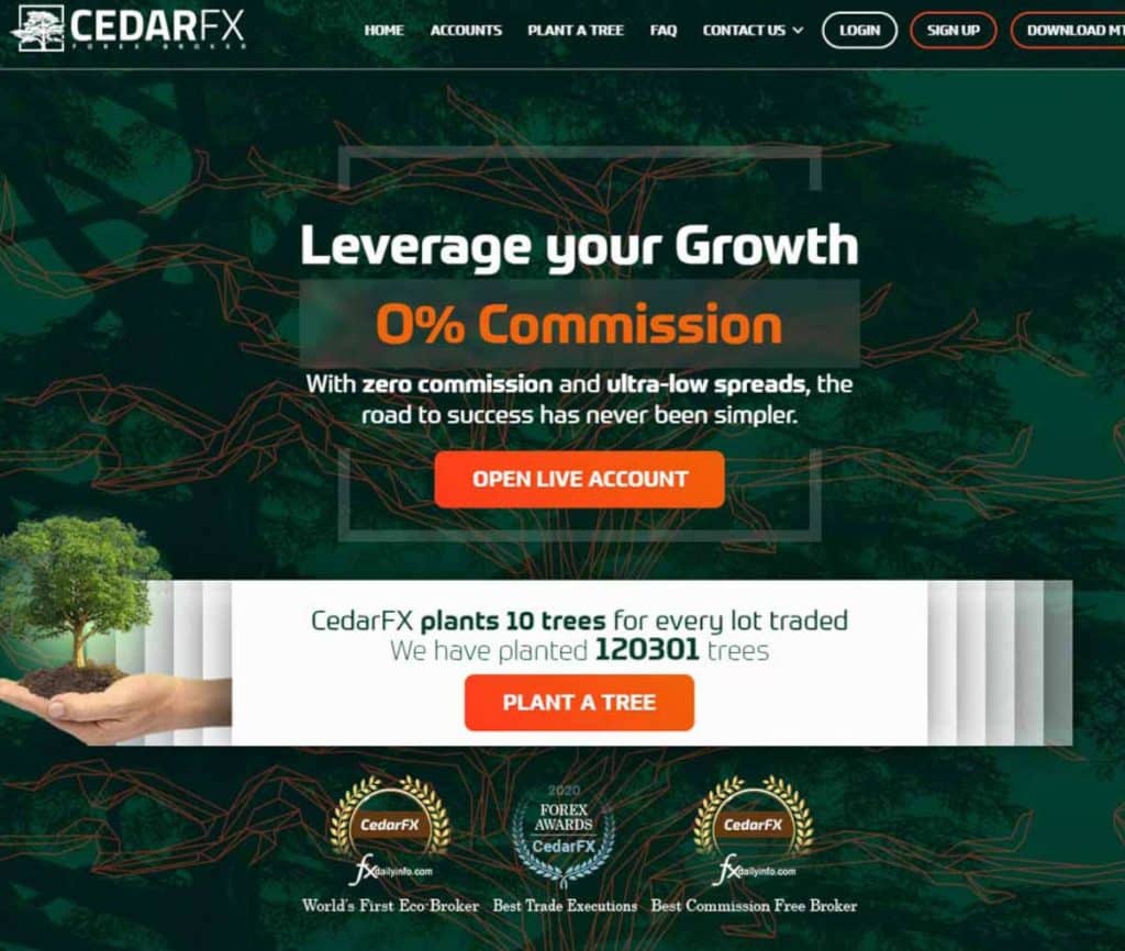 Sitio web de CedarFX
