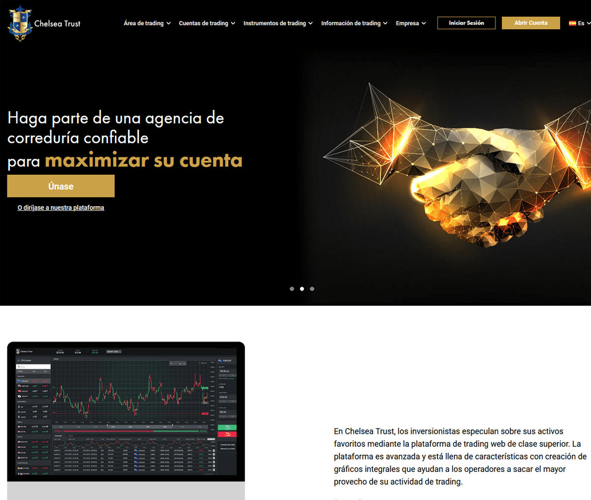 Página web de Chelsea Trust