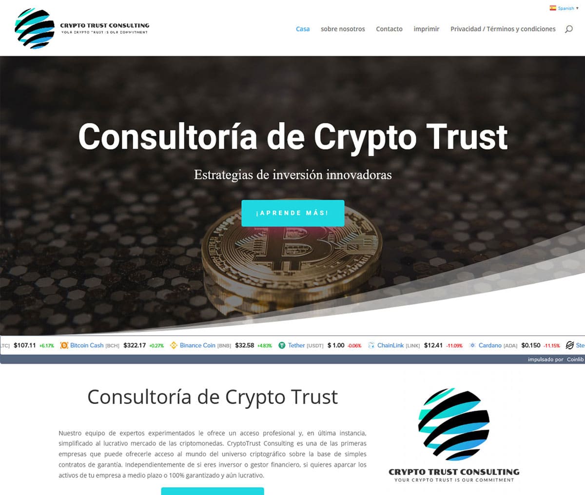 Página web de CryptoTrust Consulting