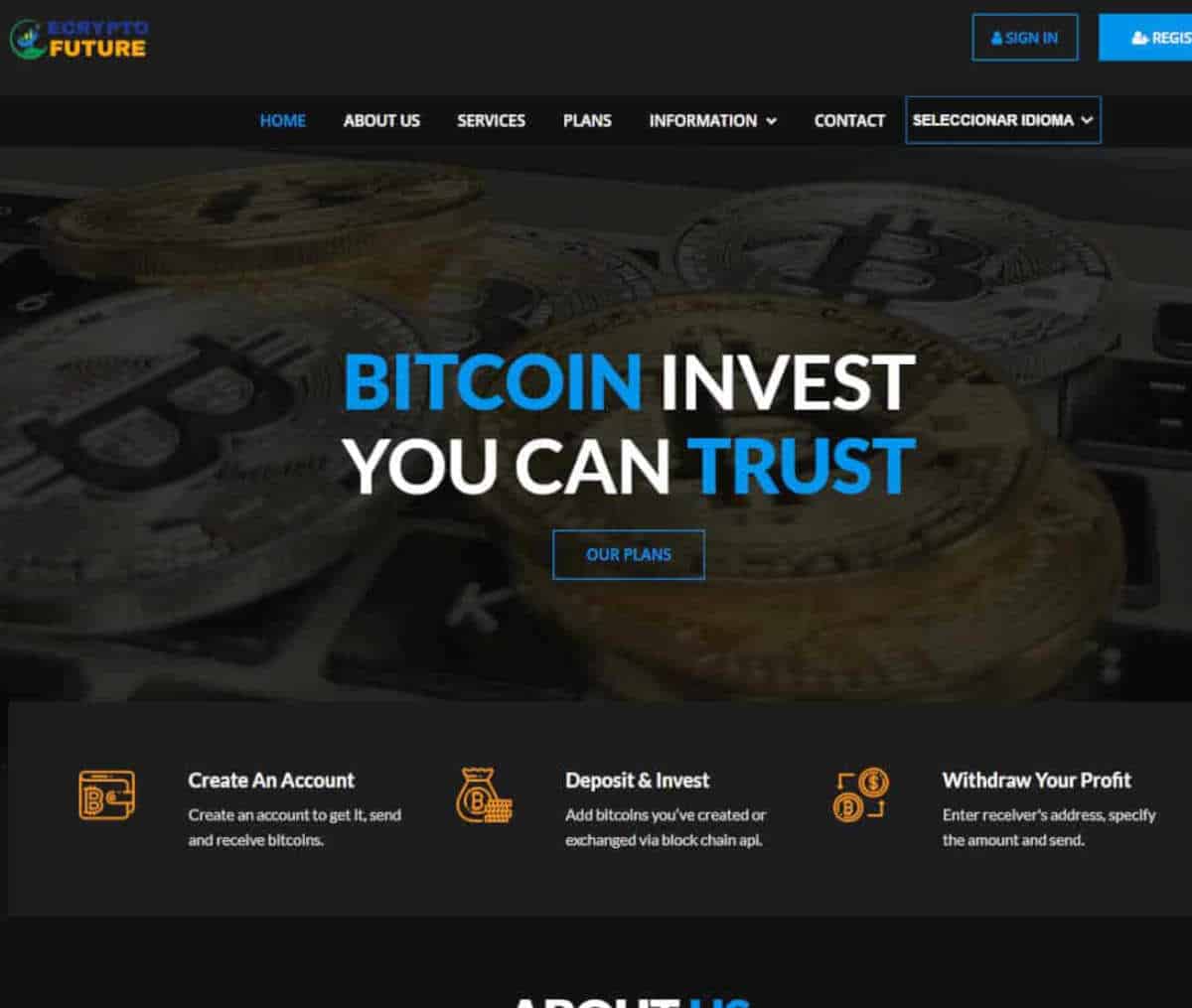 Página web de Ecryptofuture.com