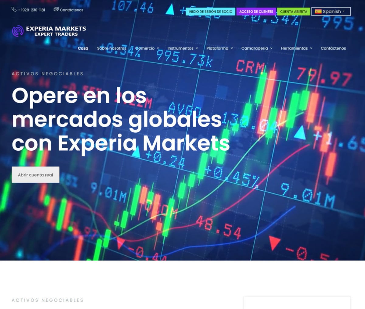 Página web de Experia Markets
