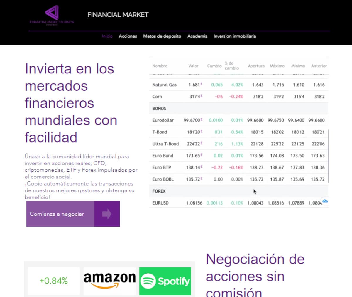 Página web de Financial Market