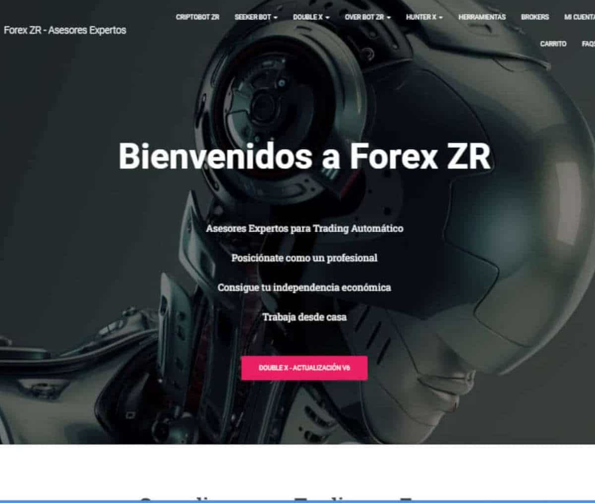 Página web de Forex ZR