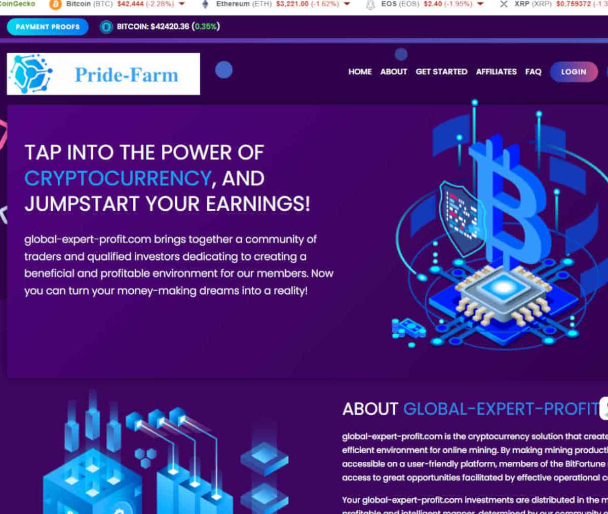 Página web de Global-expert-profit.com