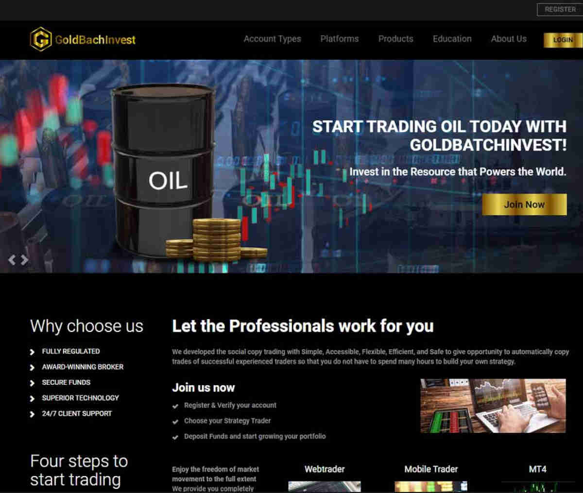 Página web de Goldbachinvest