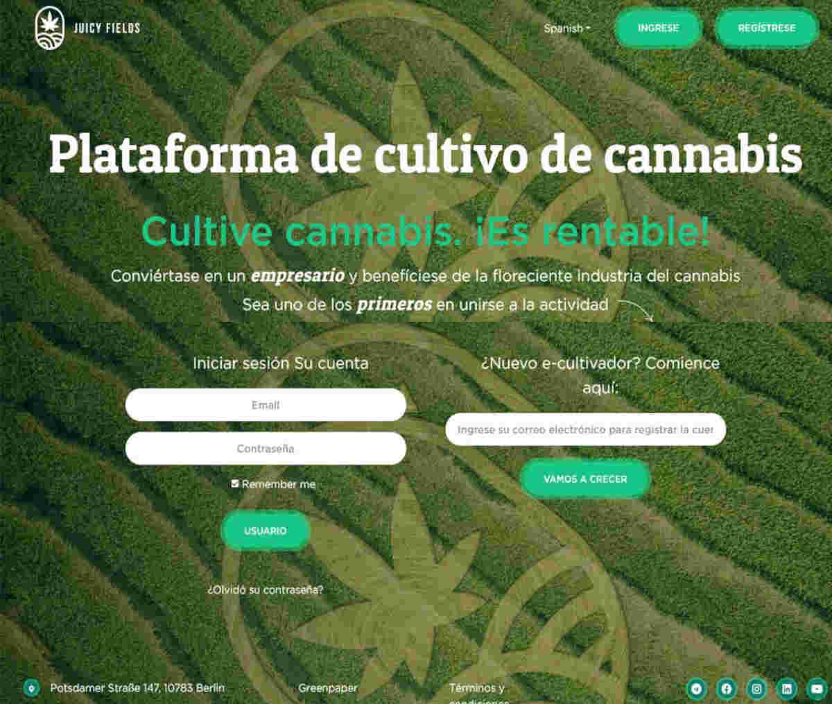 Página web de JuicyFields