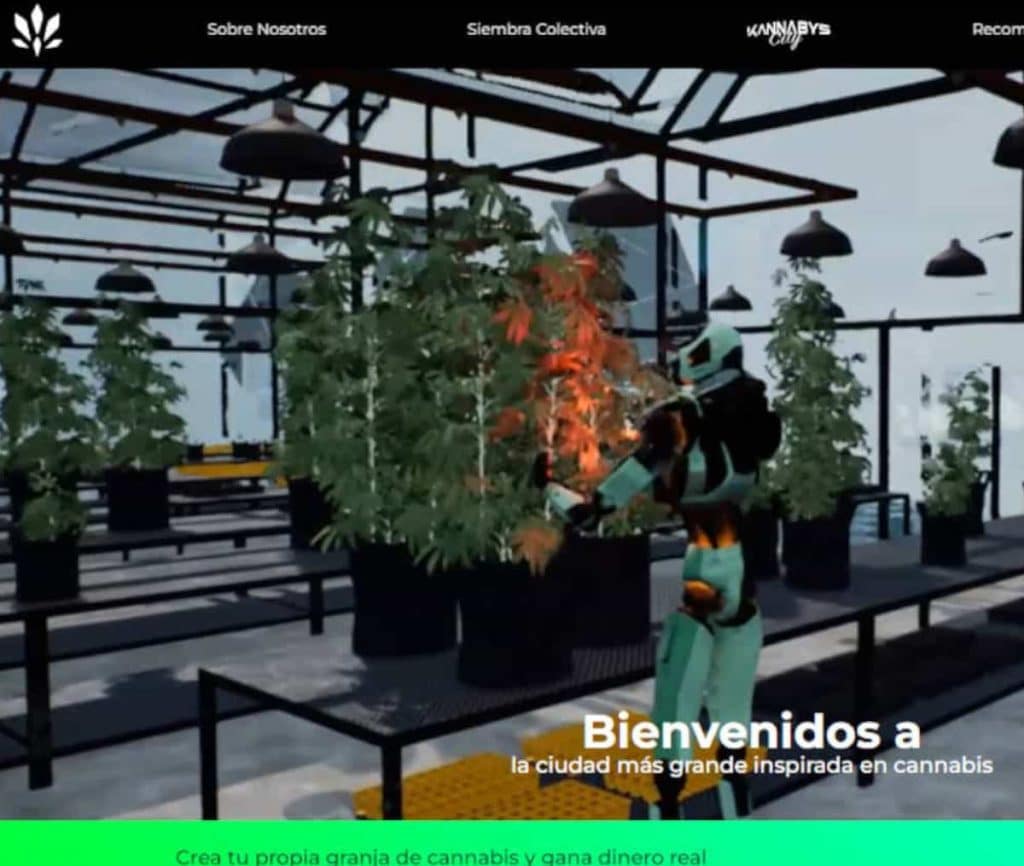 Sitio web de Kannabys City