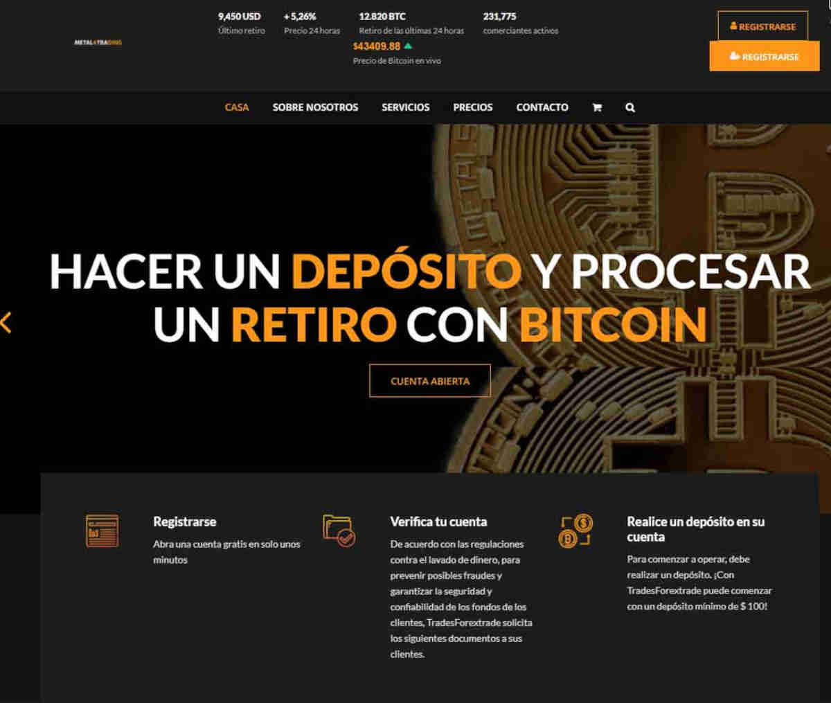 Página web de Metal4Trading