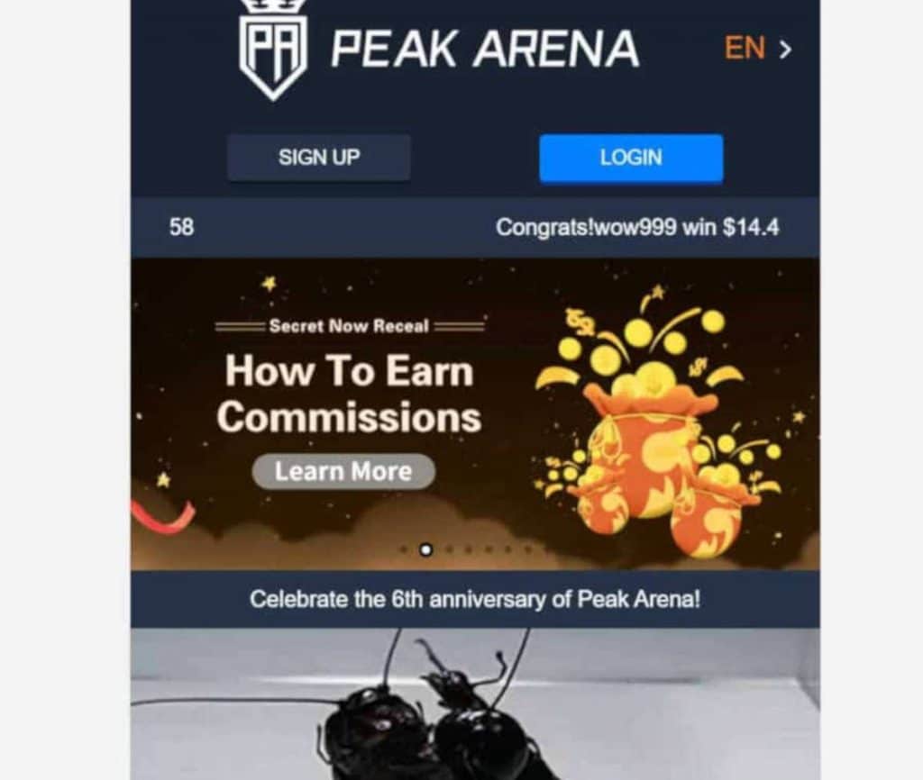 Sitio web de Peak Arena