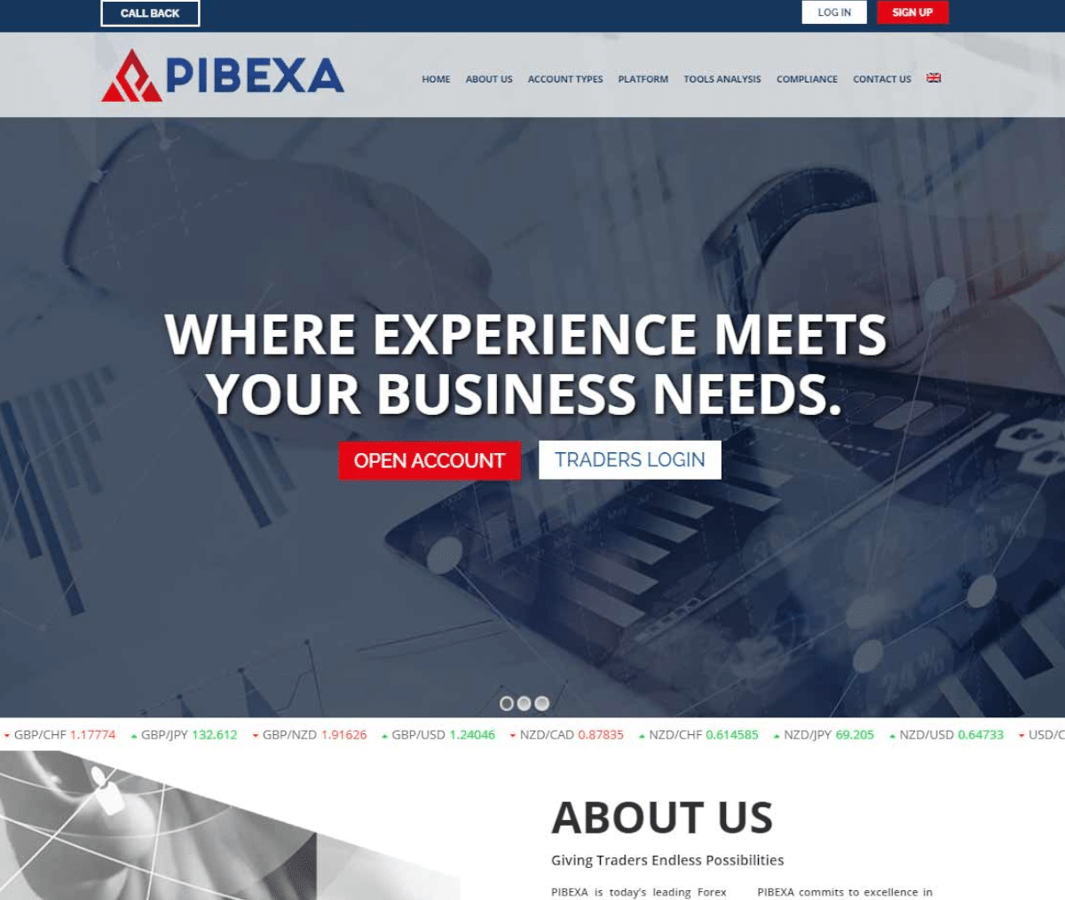 Página web de Pibexa