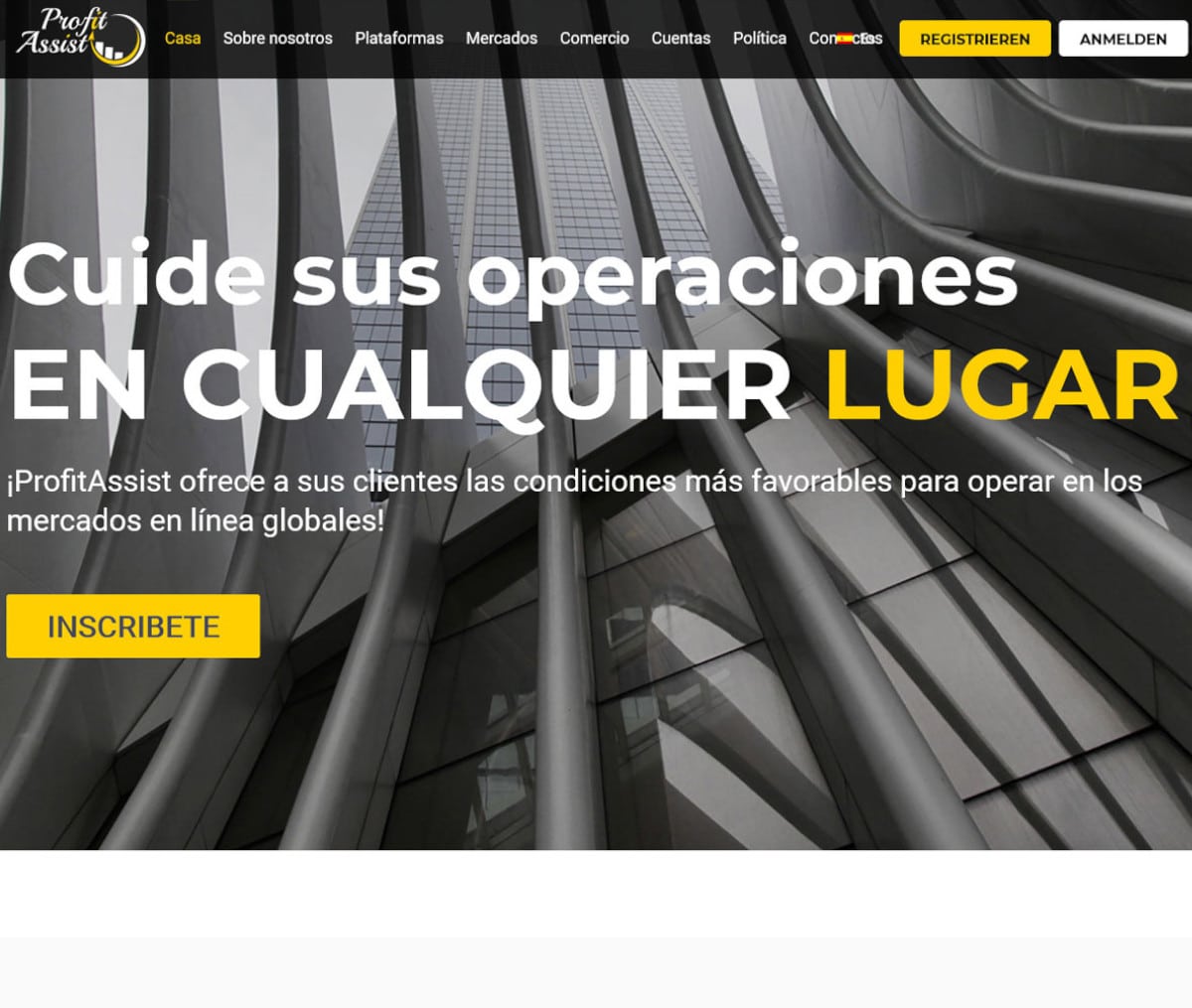 Página web de ProfitAssist