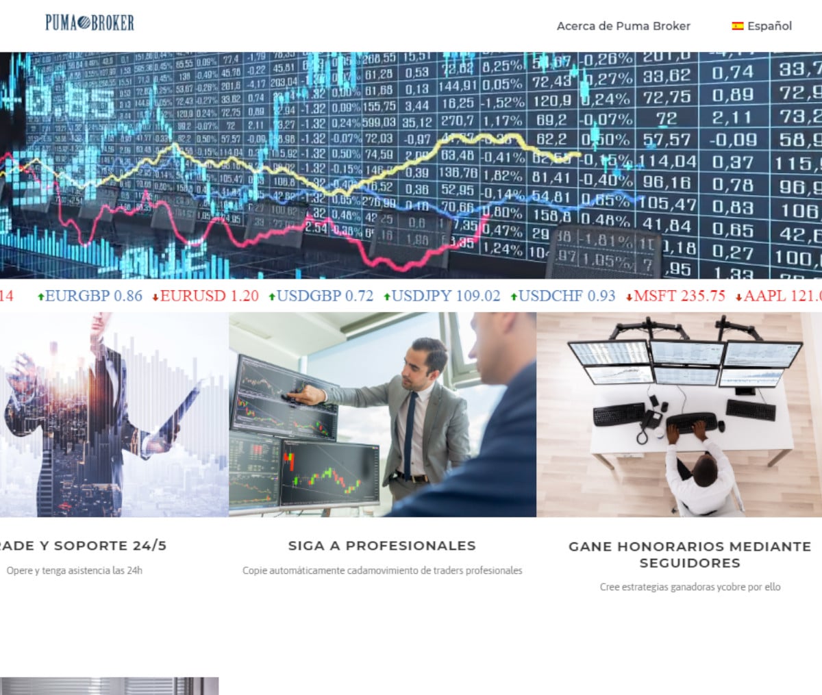 Página web de Puma Broker