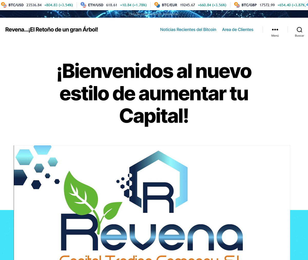 Página web de Revena