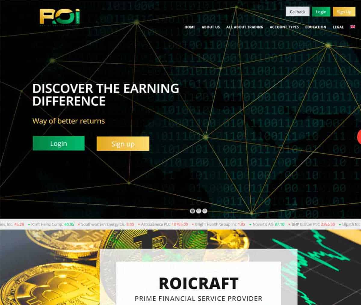 Página web de Roicraft