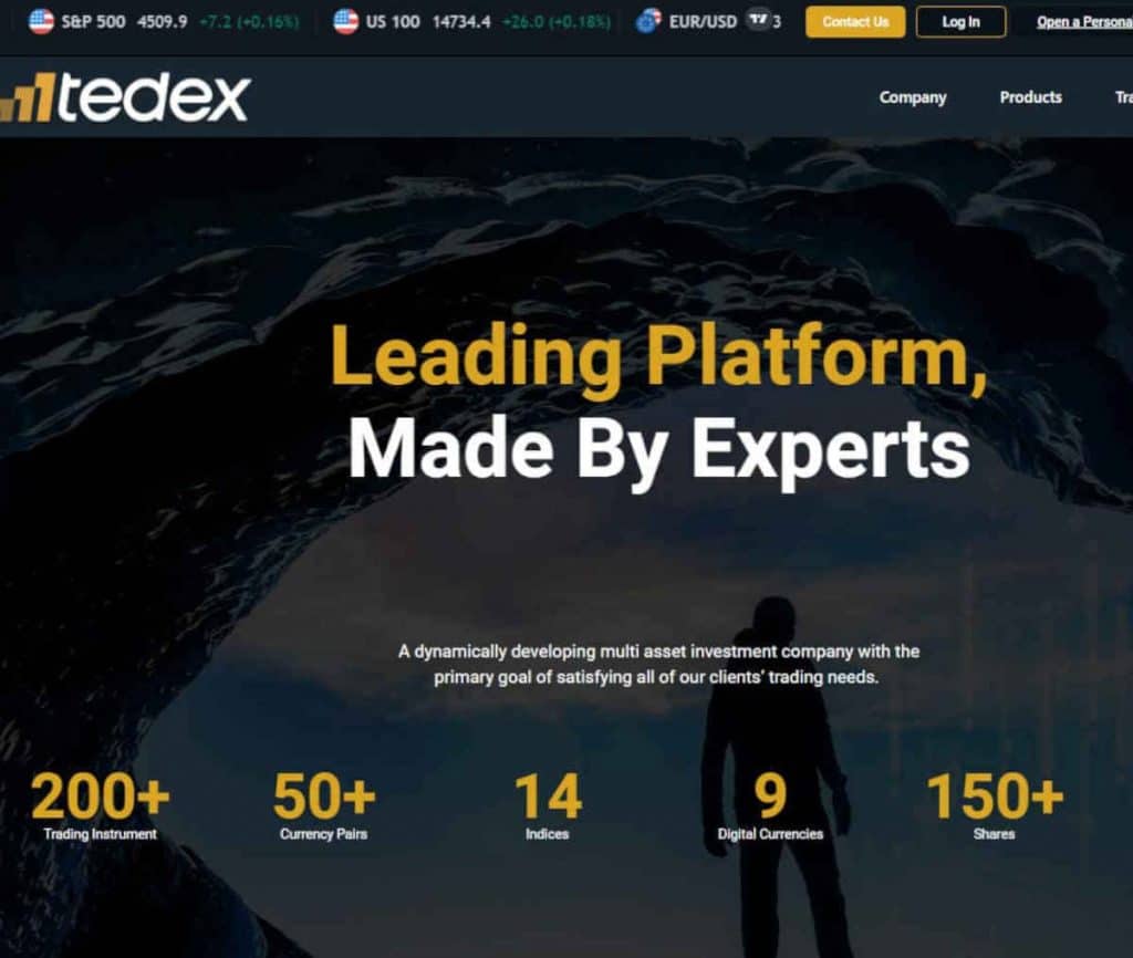 Sitio web de Tedex