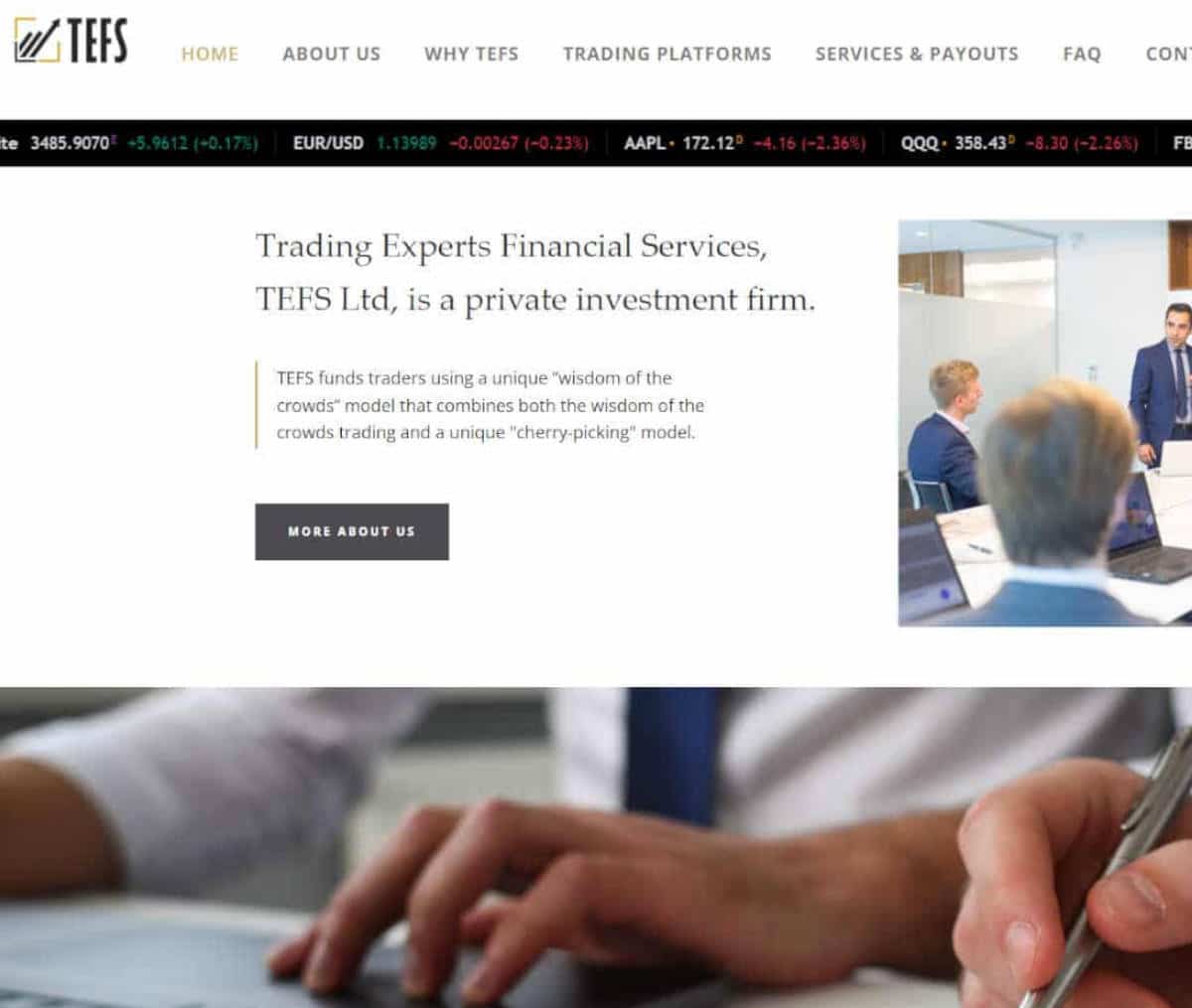 Página web de TEFS funds