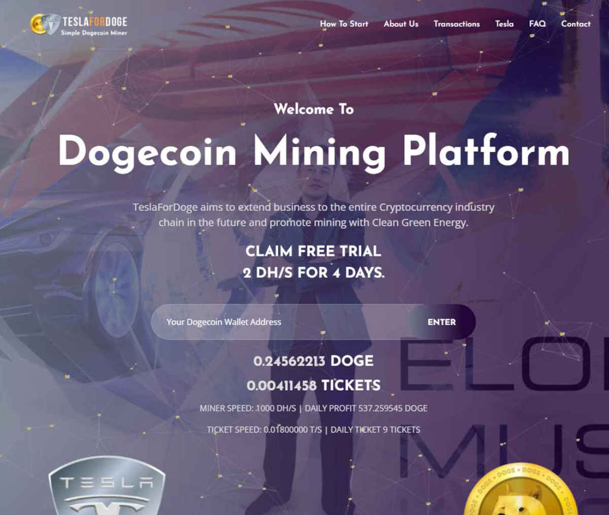 Página web de TeslaForDoge