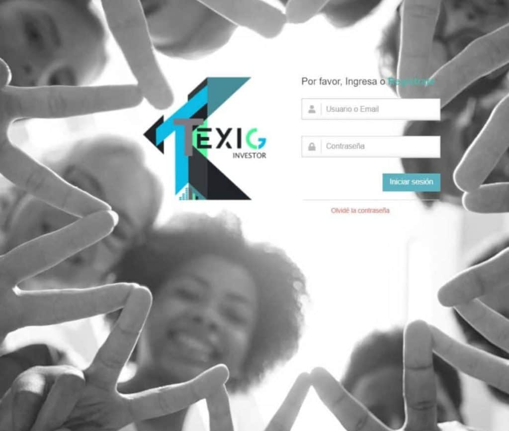 Sitio web de Texig Investor