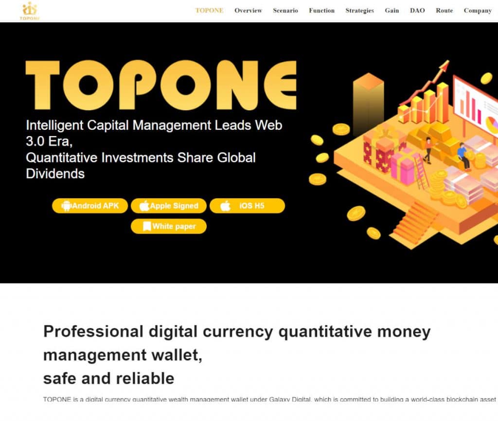 Sitio web de TOPONE
