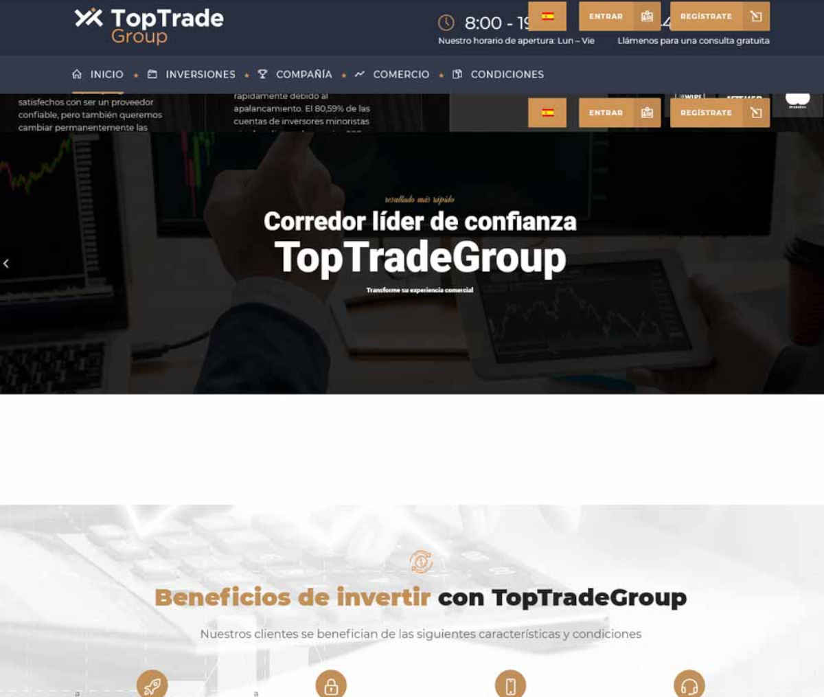 Página web de TopTradeGroup