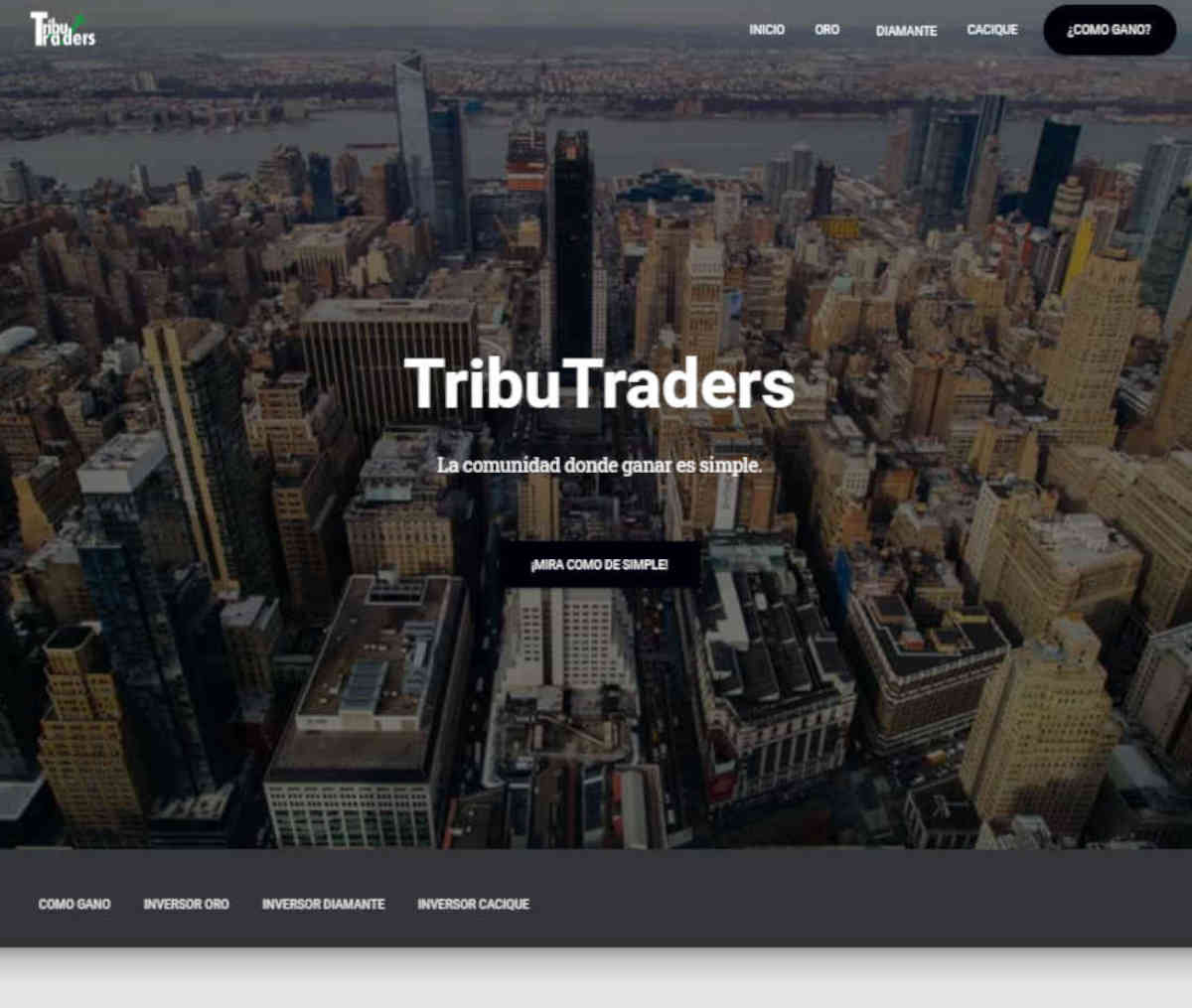 Página web de Tribu Traders