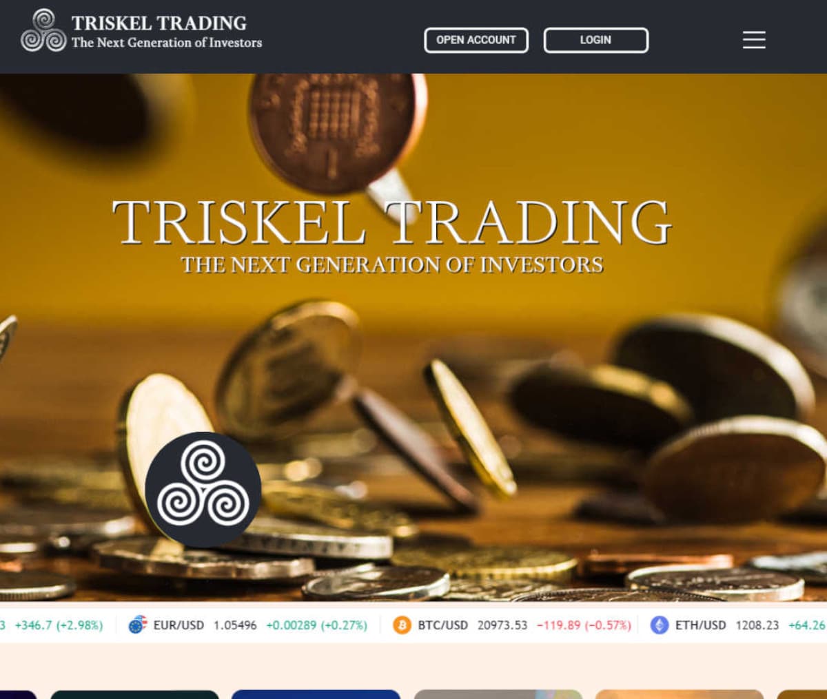 Página web de TRISKEL TRADING