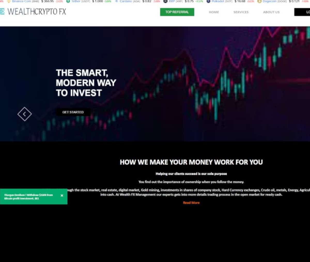 Página web de Wealth FX