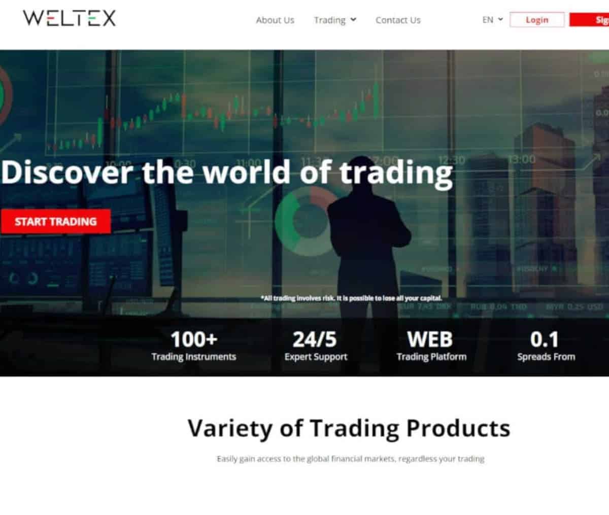 Página web de Weltex