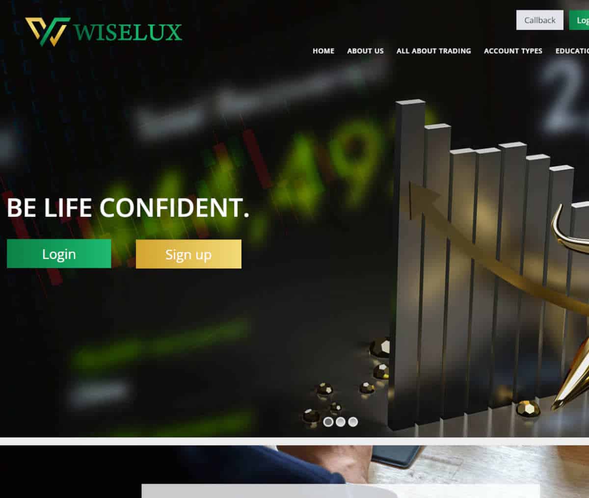 Página web de WISELUX