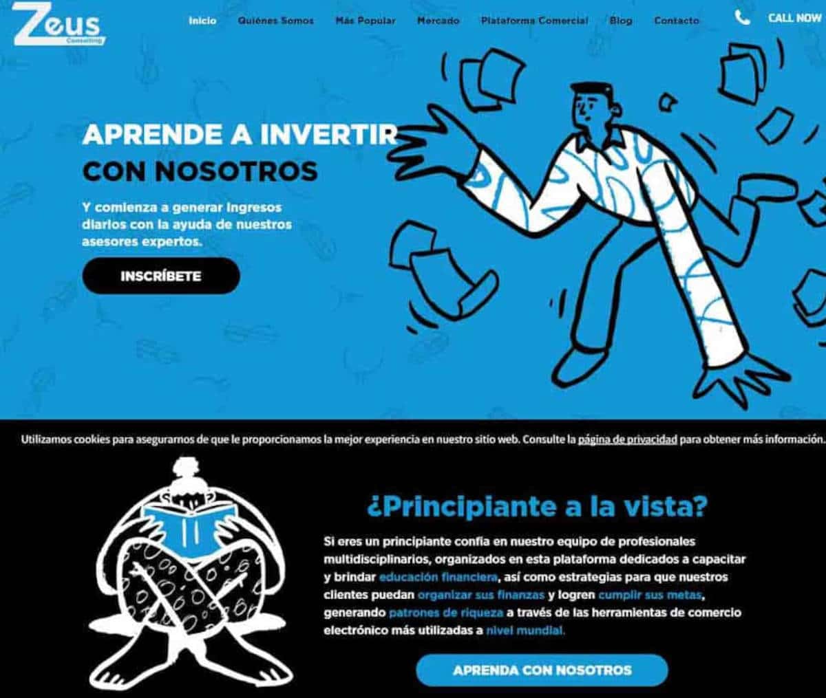 Página web de Zeus Consulting