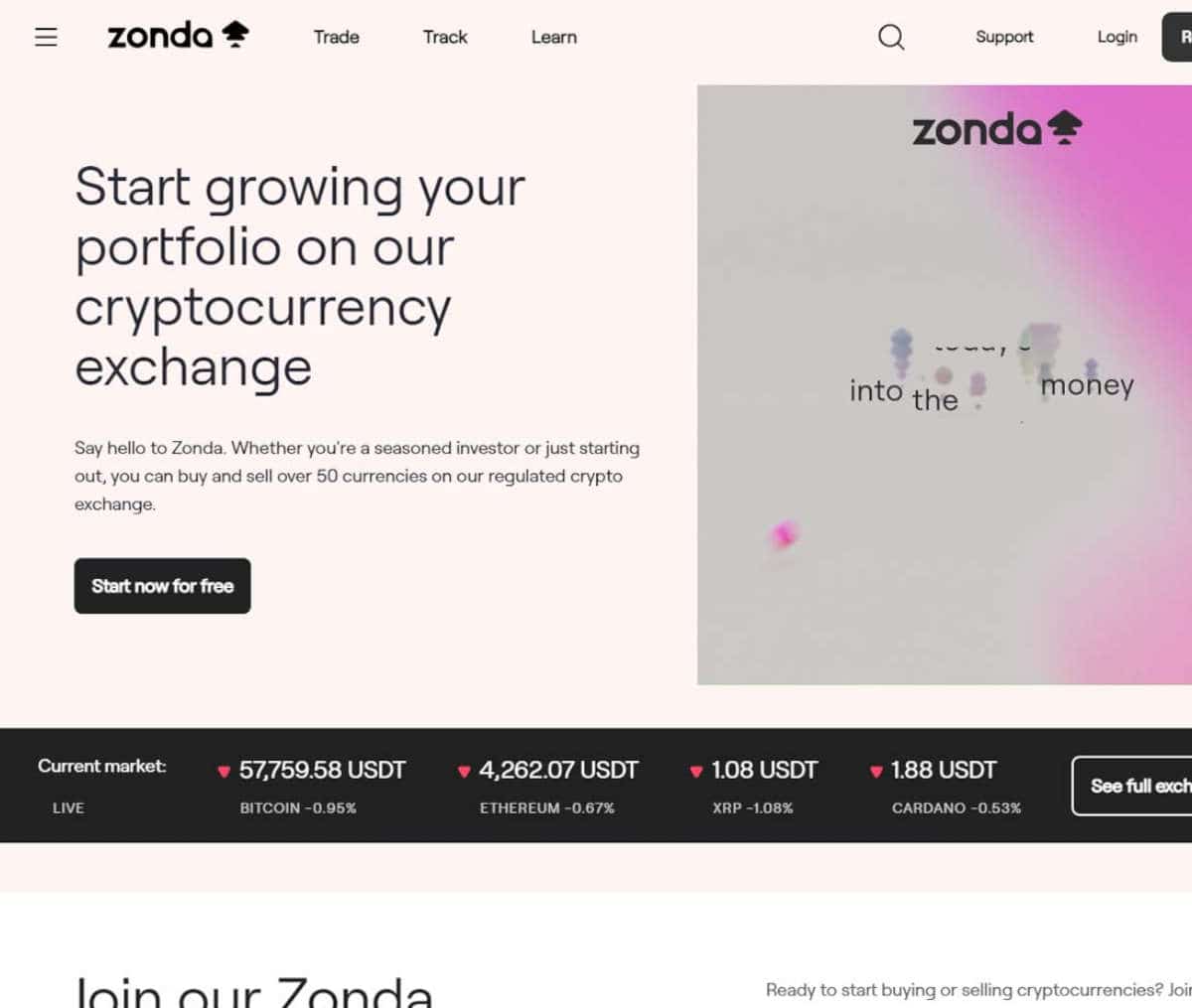 Página web de ZONDA