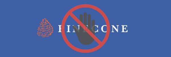 Valoración de Pinecone